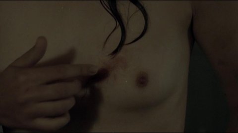 Sonia Suhl - Nude Boobs in When Animals Dream (2014)