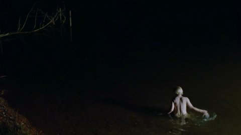 Patricia Arquette - Nude Boobs in Wildflower (1991)